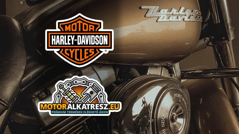 Alkatrészek Harley-Davidson motorokhoz!