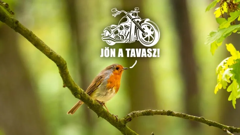 Jön a tavasz!