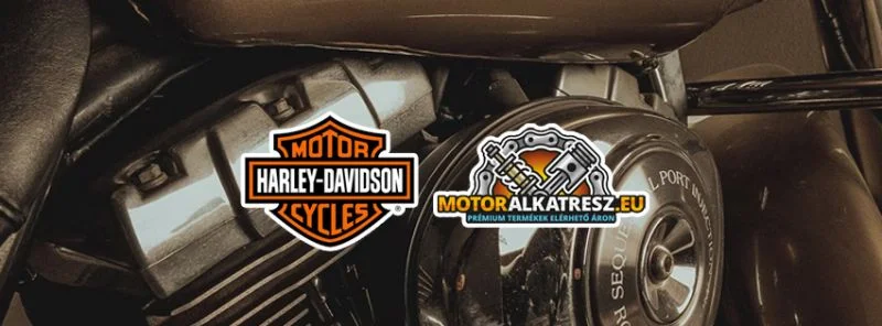 Alkatrészek Harley-Davidson motorokhoz!