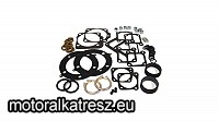 OHC Motor felső tömítéskészlet 561067