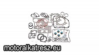 OHC Motor felső tömítés szett 561526