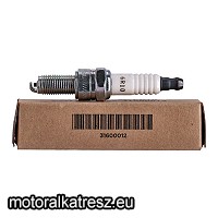 Harley Davidson 31600012 gyújtógyertya (6R10)